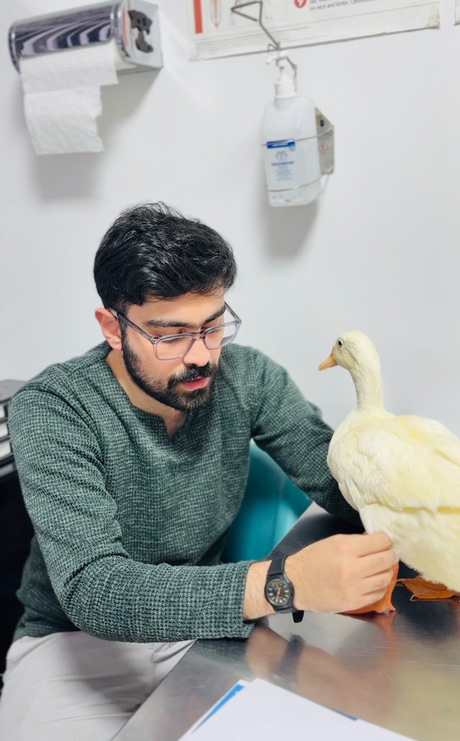 کلینیک دامپزشکی دکتر رسولی — تصویر ۳
